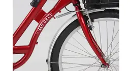 Neuzer besonders stabiles Transport- / Lastenrad mit Rücktrittbremse, Sonderausstattung 26 Zoll erwachsenenfahrrad 1 Gang Nabenschaltung rot Rahmenhöhe: 48 cm