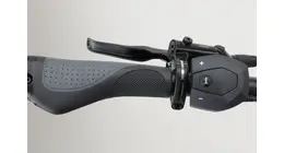 Flyer Gotour6 7.23 Trekking E-Bike stufenlose Enviolo Automatique Gates 65Nm 625Wh erwachsenenfahrrad Automatik-Nabenschaltung anthrazit Bosch Rahmenhöhe: 53 cm