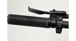 BH ATOM 29 Hadtail MTBt-E-Bike 9-Gang Alivio, 500Wh , Mittelmotor 14 Ah erwachsenenfahrrad 9 Gang Kettenschaltung anthrazit TD HiTech Energy Rahmenhöhe: md (50cm)