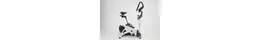 Reebok Fitnessbike-Ergometer B5.7e ws