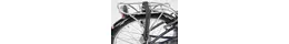 Dahon Glide P8 Faltrad 24" 8N (2011) Rahmenhöhe: 33 cm