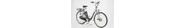 Sachs Electra d.L.Leichtmofa bis60km Rahmenhöhe: 48 cm