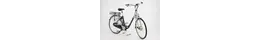 Sachs Electra d.L.Leichtmofa bis60km Rahmenhöhe: 48 cm