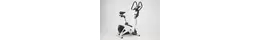 Reebok Fitnessbike-Ergometer B5.7e ws
