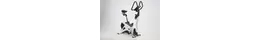 Reebok Fitnessbike-Ergometer B5.7e ws