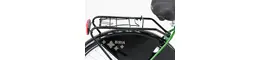 Biria Hollandrad 28 Zoll Damenfahrrad grün Rahmenhöhe: 50 cm