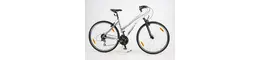 Scott 28 Zoll Damenfahrrad 24 Gang Kettenschaltung Rahmenhöhe: 48 cm