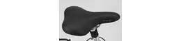 Kalkhoff Agattu XXL Da28" Wave 24K 2012 Rahmenhöhe: 45 cm 315363-04.jpg