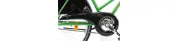 Biria Hollandrad 28 Zoll Damenfahrrad grün Rahmenhöhe: 50 cm