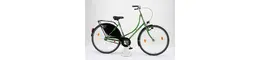 Biria Hollandrad 28 Zoll Damenfahrrad grün Rahmenhöhe: 50 cm