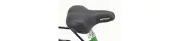 Biria Hollandrad 28 Zoll Damenfahrrad grün Rahmenhöhe: 50 cm