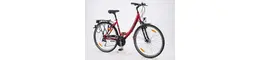 Pegasus Piazza 28" Wave 21G.rot (2011) Rahmenhöhe: 45 cm 334619-02.jpg