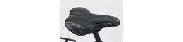 Rixe 28 Zoll Damenfahrrad 24 Gang Kettenschaltung schwarz Rahmenhöhe: 45 cm