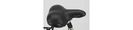 Stern 28 Zoll Damenfahrrad 27 Gang Kettenschaltung silber Rahmenhöhe: 48 cm