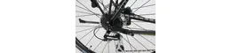 Rixe 28 Zoll Damenfahrrad 24 Gang Kettenschaltung schwarz Rahmenhöhe: 45 cm