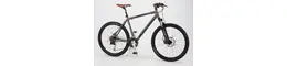 Focus 26 Zoll Herrenfahrrad 27 Gang Kettenschaltung grau Rahmenhöhe: 45 cm