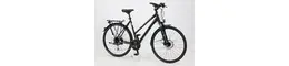 Rixe 28 Zoll Damenfahrrad 24 Gang Kettenschaltung schwarz Rahmenhöhe: 45 cm
