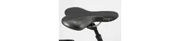 Pegasus Premio SL 28"Trap. 8G.sw(2010) Rahmenhöhe: 45 cm