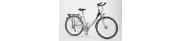 Stern 28 Zoll Damenfahrrad 27 Gang Kettenschaltung silber Rahmenhöhe: 48 cm