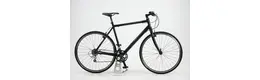 Bergamont 28 Zoll Herrenfahrrad 16 Gang Kettenschaltung Rahmenhöhe: 52 cm