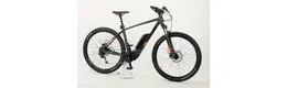 Bulls LT CX 29Zoll Offroad E-MTB E-Bike 9-Gang Shimano 400Wh Akku 11Ah grau  Rahmenhöhe: 44 cm