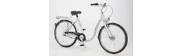 Pegasus 26 Zoll Damenfahrrad 3 Gang Nabenschaltung silber Rahmenhöhe: 44 cm