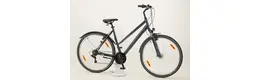 Pegasus Avanti Sport 18 28 Zoll Trapez Trekkingbike 18-Gang Kettenschaltung graphit Rahmenhöhe: 50 cm