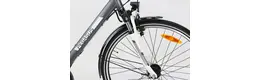 Pegasus Piazza 28 Zoll Herrenfahrrad 21 Gang Kettenschaltung grau Rahmenhöhe: 53 cm