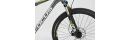 Focus Black Forest LTD 29 Zoll Herrenfahrrad 20 Gang Kettenschaltung grau Rahmenhöhe: 42 cm