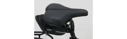 Pegasus Premio Evo 5F Lite Comfort E-Bike 5-Gang Freilaufnabe 625Wh Akku grau Bosch Rahmenhöhe: 45 cm
