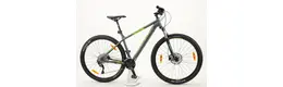 Bergamont Revox 6.0 29 Zoll Herrenfahrrad 30 Gang Kettenschaltung grau Rahmenhöhe: 40 cm