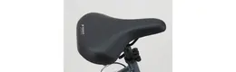 Pegasus Avanti Sport 18 28 Zoll Trapez Trekkingbike 18-Gang Kettenschaltung graphit Rahmenhöhe: 50 cm