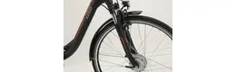 Ragos AL-EBK 7NY 28 Zoll E-Bike 7-Gang Rücktrittnabe 468Wh 13,0Ah Akku schwarz Greenway Rahmenhöhe: 55 cm