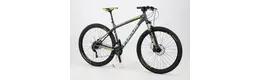 Focus Black Forest LTD 29 Zoll Herrenfahrrad 20 Gang Kettenschaltung grau Rahmenhöhe: 42 cm