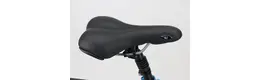 Pegasus Piazza 28 Zoll Herrenfahrrad 21 Gang Kettenschaltung grau Rahmenhöhe: 53 cm