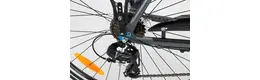 Pegasus Piazza 28 Zoll Herrenfahrrad 21 Gang Kettenschaltung grau Rahmenhöhe: 53 cm