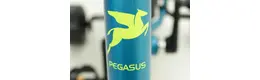 Pegasus Primo 12" Spielrad 12 Zoll kinderfahrrad 1 Gang-Nabenschaltung Rücktritt blau Rahmenhöhe: 22 cm