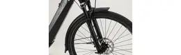 Pegasus Premio Evo 5F Lite Comfort E-Bike 5-Gang Freilaufnabe 625Wh Akku grau Bosch Rahmenhöhe: 45 cm