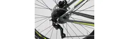 Focus Black Forest LTD 29 Zoll Herrenfahrrad 20 Gang Kettenschaltung grau Rahmenhöhe: 42 cm