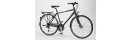 Pegasus Torino Light He.28"24K g(2013) Rahmenhöhe: 48 cm 406095-01.jpg