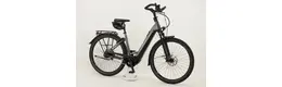 Pegasus Premio Evo 5F Lite Comfort E-Bike 5-Gang Freilaufnabe 625Wh Akku grau Bosch Rahmenhöhe: 45 cm