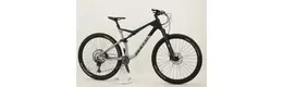 Bulls Wild Edge 29 Zoll Mountainbike 12-Gang Kettenschaltung grau Rahmenhöhe: M
