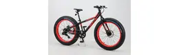 Bulls Monster 24 24 Zoll Jungenfahrrad 8 Gang Kettenschaltung Rahmenhöhe: 32 cm