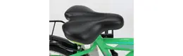 Pegasus 16 Zoll kinderfahrrad 1 Gang Nabenschaltung grün Rahmenhöhe: 26 cm
