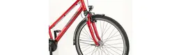 Pegasus Solero SL 7 28 Zoll Trapez Trekkingrad 7-Gang Nabenschaltung rot Rahmenhöhe: 50 cm
