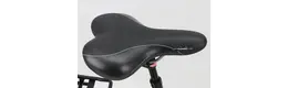 Pegasus Premio SL 28 Zoll Damenfahrrad 8 Gang Nabenschaltung schwarz Rahmenhöhe: 45 cm