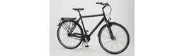 Pegasus 28 Zoll Herrenfahrrad 8 Gang Nabenschaltung schwarz Rahmenhöhe: 48 cm