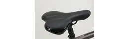 Kalkhoff Image HS 28 Zoll Trekkingrad 8-Gang Rücktrittbremsnabe grau Rahmenhöhe: 55 cm