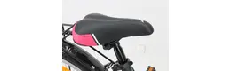 Pegasus 24 Zoll Mädchenfahrrad 7 Gang Nabenschaltung schwarz Rahmenhöhe: 32 cm