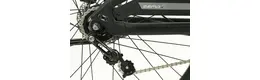 ZEMO ZE-8 FS 28 Zoll Trapez E-Bike 8-Gang Freilaufnabe 500Wh 13,4Ah Bosch Rahmenhöhe: 50 cm